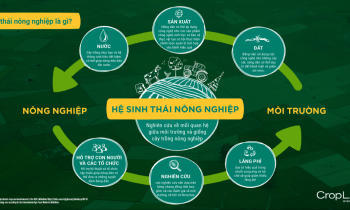 Hệ sinh thái nông nghiệp