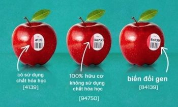 Cách nhận biết hoa quả biến đổi gen đơn giản nhất