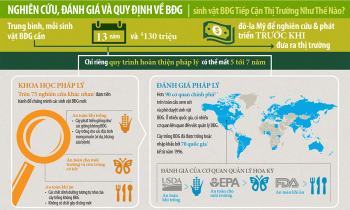 Infographic: Nghiên cứu, đánh giá và quy định về thực phẩm biến đổi gen