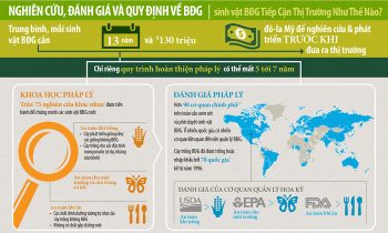 Infographic: Nghiên cứu, đánh giá và quy định về thực phẩm biến đổi gen